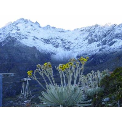 tours_gran_sabana_canaima_los_roques_roraima_delta_del_orinoco_margarita_merida_.jpg