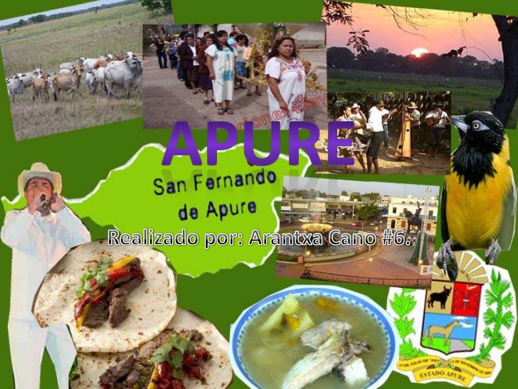 apure-1-728.jpg