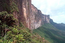 220px-Roraima-Tepui_Wand.jpg