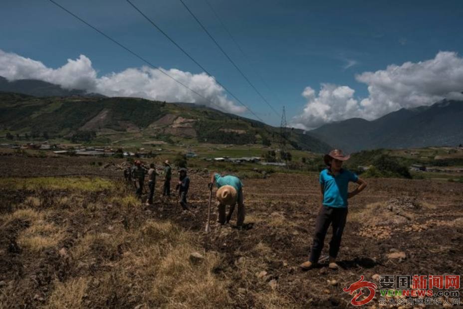 escasez-combustible-paraliza-agricultura-venezuela_287664.jpg