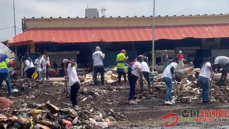 basura-pontencialidades.jpg