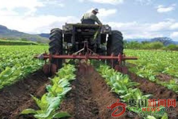 tsize_600x400_ProduccionAgricola.jpg